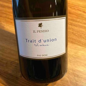 Trait d'Union - tot ensèma - Il Pendio - Michele Loda 