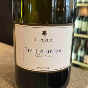 Trait d'Union - tot ensèma - Il Pendio - michele-loda