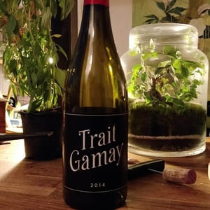 Rémi Sédès - Rémi Sédès - Trait Gamay