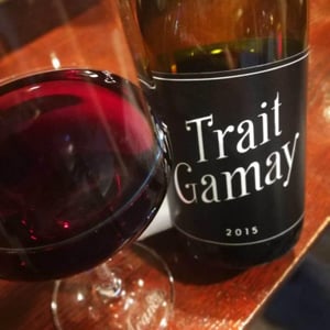 Trait Gamay - Rémi Sédès - Rémi Sédès 
