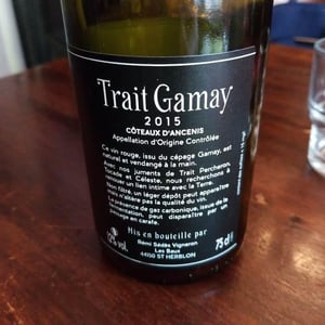 Trait Gamay - Rémi Sédès - remi-sedes