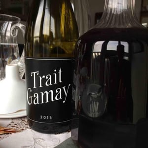 Trait Gamay - Rémi Sédès - remi-sedes