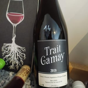 Trait Gamay - Rémi Sédès - remi-sedes