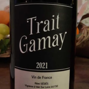 Trait Gamay - Rémi Sédès - remi-sedes