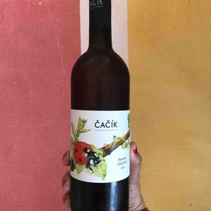 Tramín Červený - Kobylské Vinařství Čačík - tomas-cacik