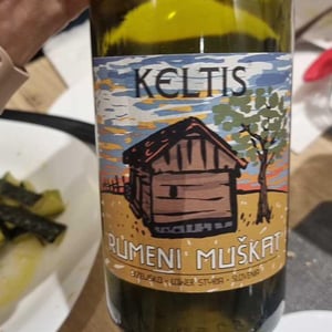 Traminec - Keltis - Miha Kelhar 