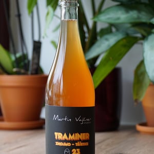 Traminer - Martin Vajčner - martin-vajcner