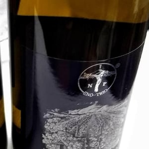 Traminer Aromatico