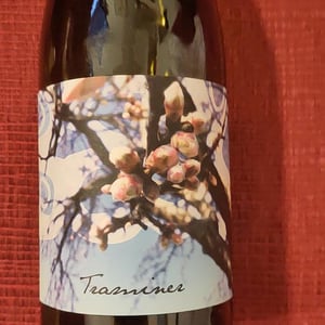 Traminer - Weingut Beck - Judith Beck 