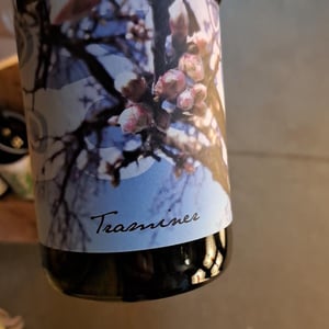 Traminer - Weingut Beck - Judith Beck 