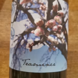 Traminer - Weingut Beck - judith-beck