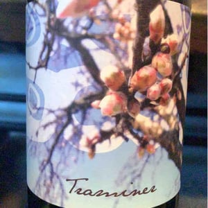 Traminer - Weingut Beck - Judith Beck 