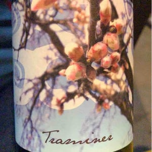 Traminer - Weingut Beck - Judith Beck 