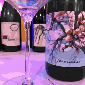 Traminer 2018