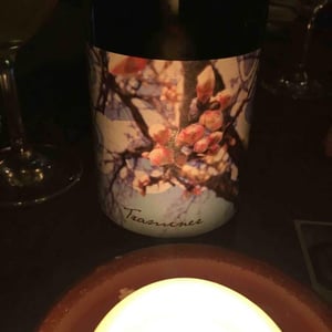 Weingut Beck - Judith Beck - Traminer