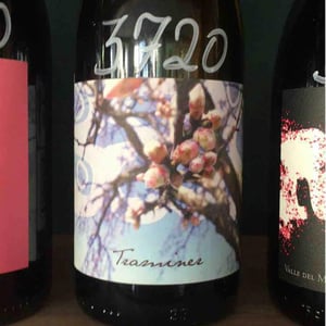 Weingut Beck - Judith Beck - Traminer