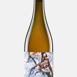 Traminer - Weingut Beck - judith-beck