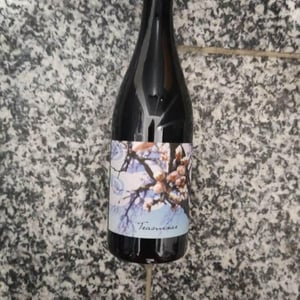 Weingut Beck - Judith Beck - Traminer