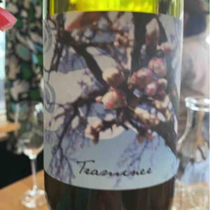 Traminer - Weingut Beck - judith-beck