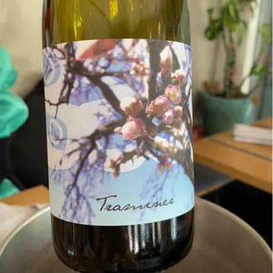 Weingut Beck - Judith Beck - Traminer
