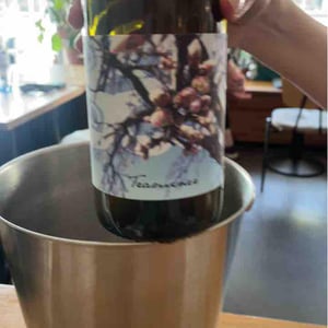 Weingut Beck - Judith Beck - Traminer