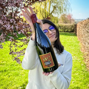 Tranche de Gamay - Domaine Romain Jambon - romain-jambon