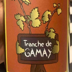 Tranche de Gamay - Domaine Romain Jambon - romain-jambon