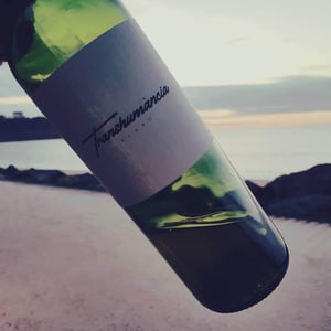 Transhumància Blanc - Domaine Cotzé - wilfried-garcia