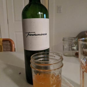 Transhumància Blanc - Domaine Cotzé - wilfried-garcia
