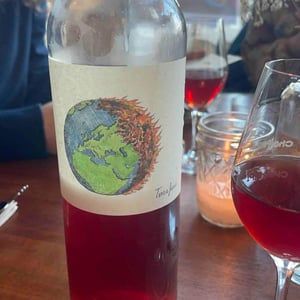 Transhumancia Terrafurie - Domaine Cotzé - Wilfried Garcia 