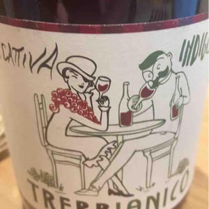 Trebbianico X Indigeno - Masseria La Cattiva - A. Colangelo, L. Di Vincenzo, L. Lamolinara, M. La Barbera, M. Pastore Bovio, M. Opalenski, P. Bertani 