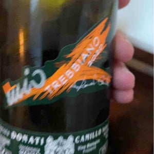 Trebbiano - Camillo Donati - camillo-donati