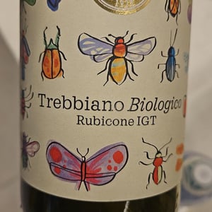 Trebbiano Biologico - Rubicone IGT - famiglia-ravaioli -2022