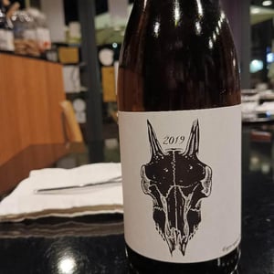 Trebbiano D’Abruzzo 2019 - Podere San Biagio - Jacopo Fiore -2019