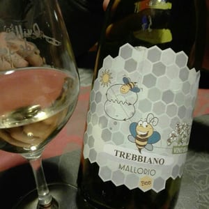 Trebbiano D Abruzzo - Societa Vinicola ORSOGNA - cantina-orsogna
