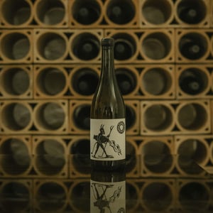 Trebbiano D’Abruzzo - Podere San Biagio - jacopo-fiore -2019