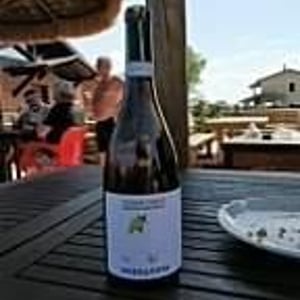 Trebbiano D’abruzzo - Società Agricola BossaNova - Andrea Quaglia e Nat Colantonio 