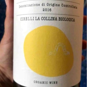 Trebbiano D'Abruzzo - Azienda Agricola Cirelli - francesco-cirelli