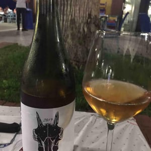 Trebbiano D’Abruzzo - Podere San Biagio - Jacopo Fiore -2019