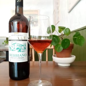 TREBBIANO DEI COLLI DELLA TOSCANA CENTRALE - Azienda Agricola Casale - giuseppe-giglioli-maria-pierina-rinaldi