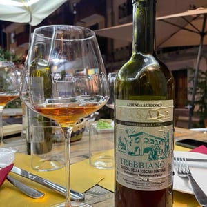 TREBBIANO DEI COLLI DELLA TOSCANA CENTRALE - Azienda Agricola Casale - Giuseppe Giglioli, Maria Pierina Rinaldi 