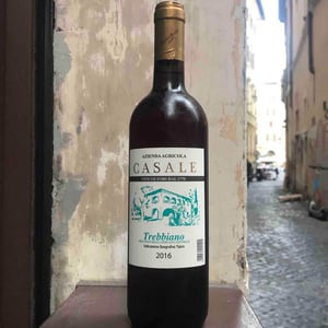 TREBBIANO DEI COLLI DELLA TOSCANA CENTRALE - Azienda Agricola Casale - Giuseppe Giglioli, Maria Pierina Rinaldi 