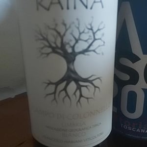 Trebbiano Spoletino - Raína - francesco-mariani