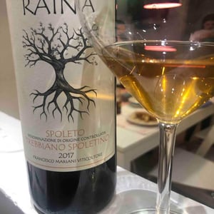 Trebbiano Spoletino 2017