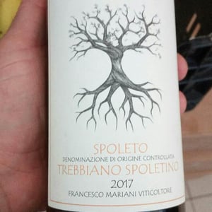 Raína - Francesco Mariani - Trebbiano Spoletino