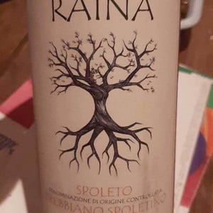 Trebbiano Spoletino - Raína - francesco-mariani