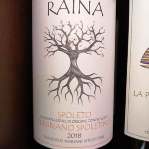 Trebbiano Spoletino - Raína - francesco-mariani