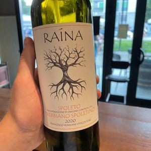Trebbiano Spoletino - Raína - francesco-mariani