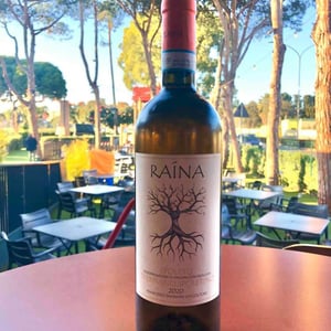 Trebbiano Spoletino - Raína - francesco-mariani