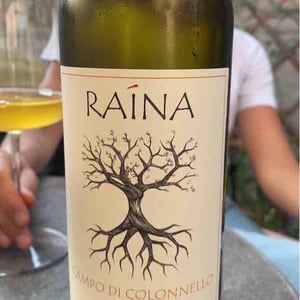 Trebbiano Spoletino - Raína - Francesco Mariani 
